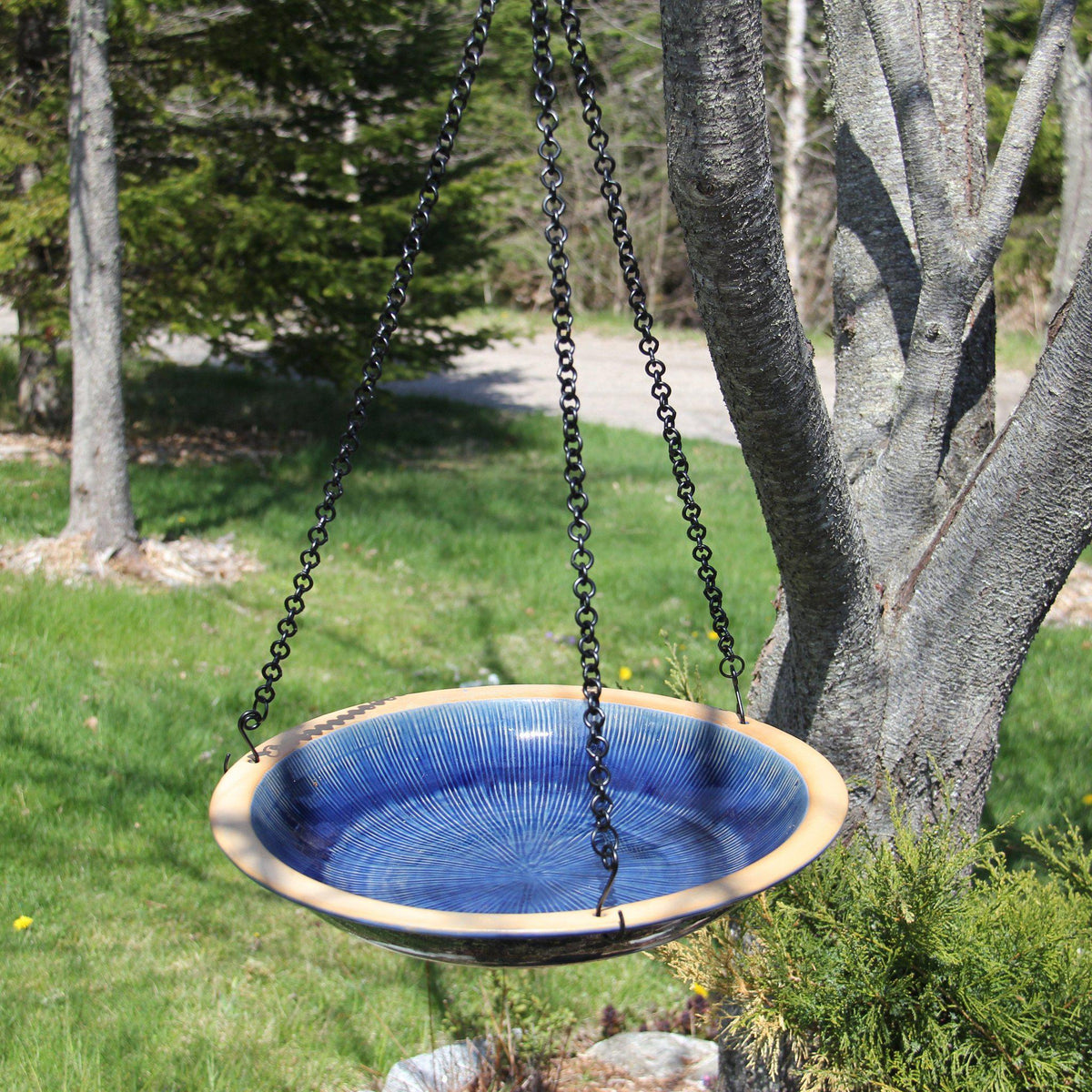 Radial Bird Bath - Hanging Style