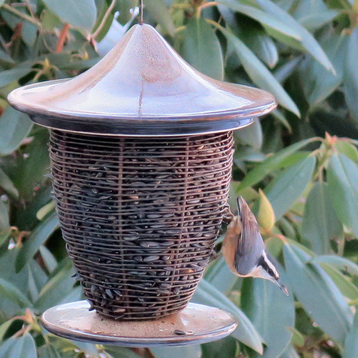 Pagoda Bird Feeder