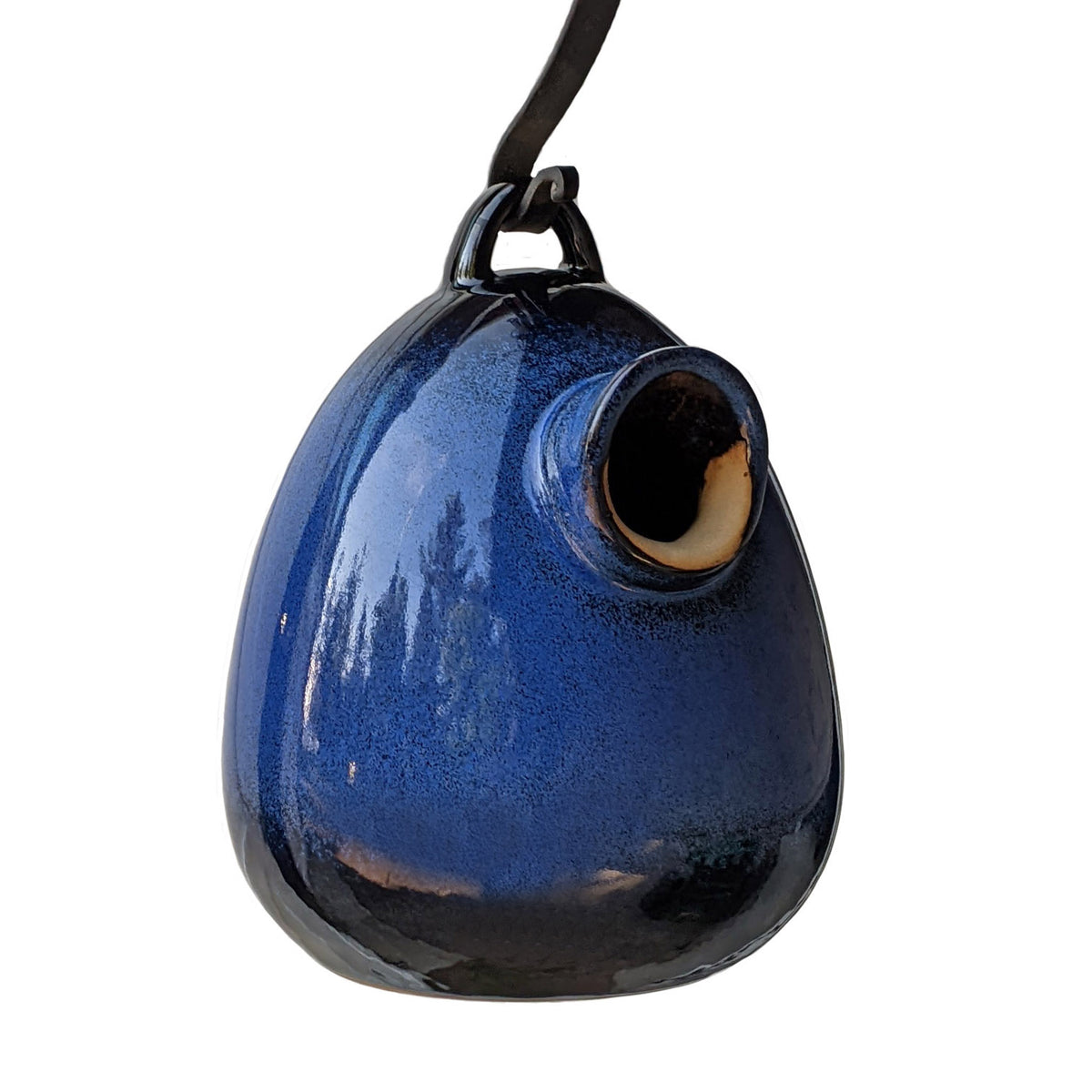 egg bird nest home in cobalt