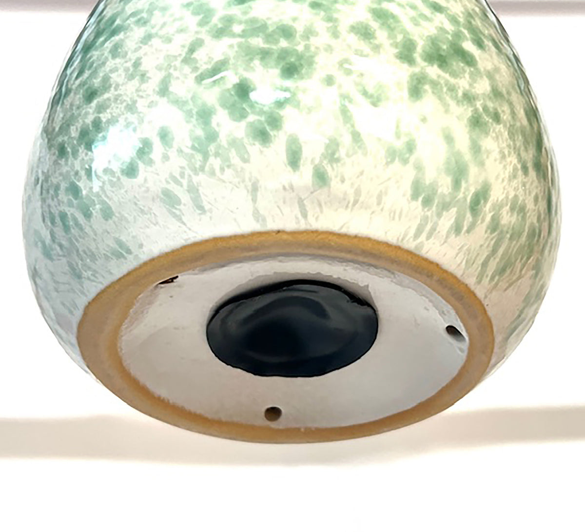 egg bird nest home meadow green bottom