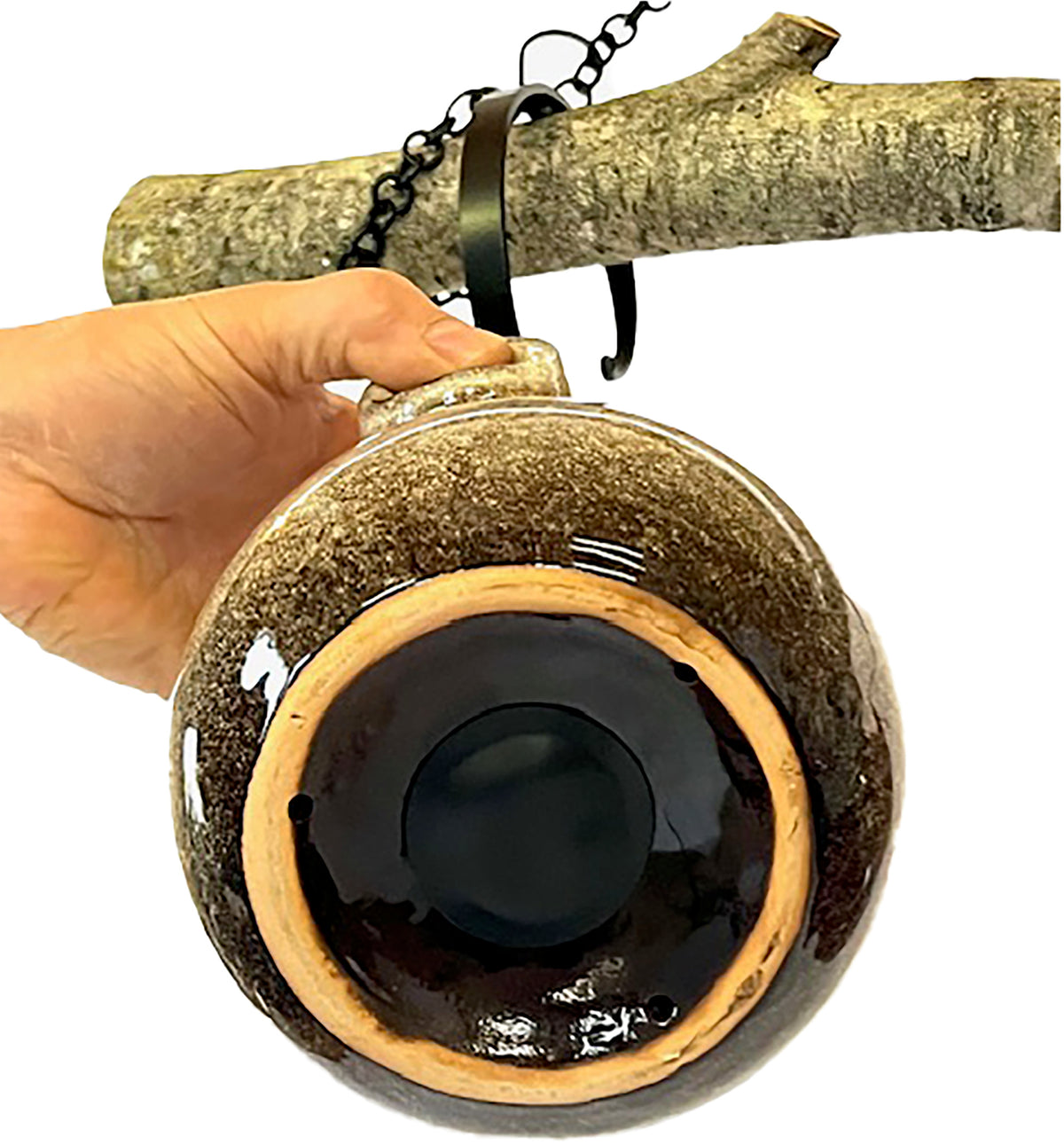 egg bird nest home bottom sandy granite