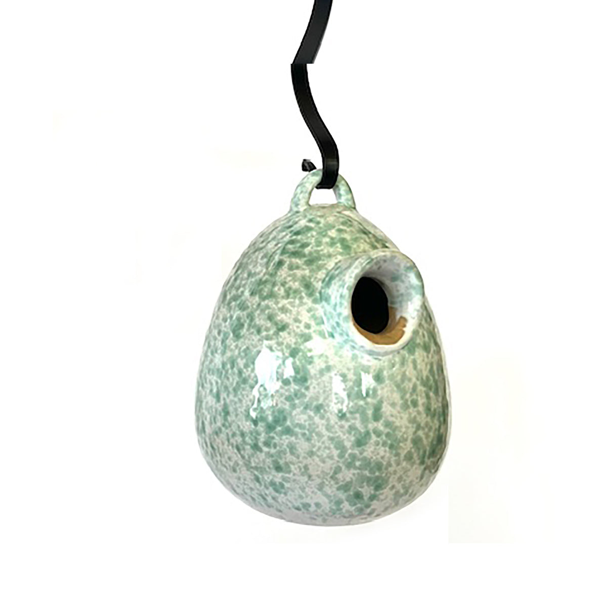 egg bird nest home in meadow green