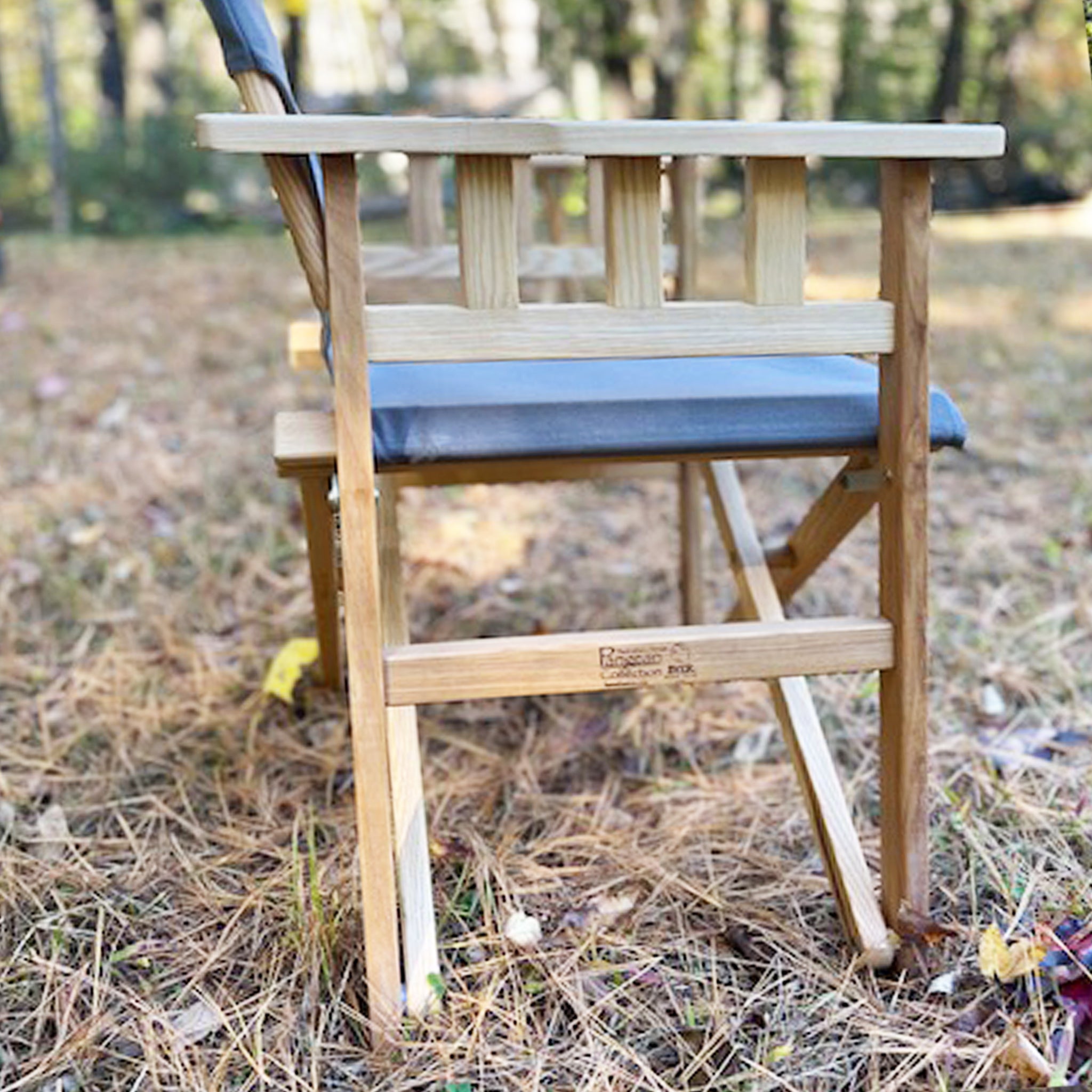 Pangean Campaign Chair - Byer of Maine