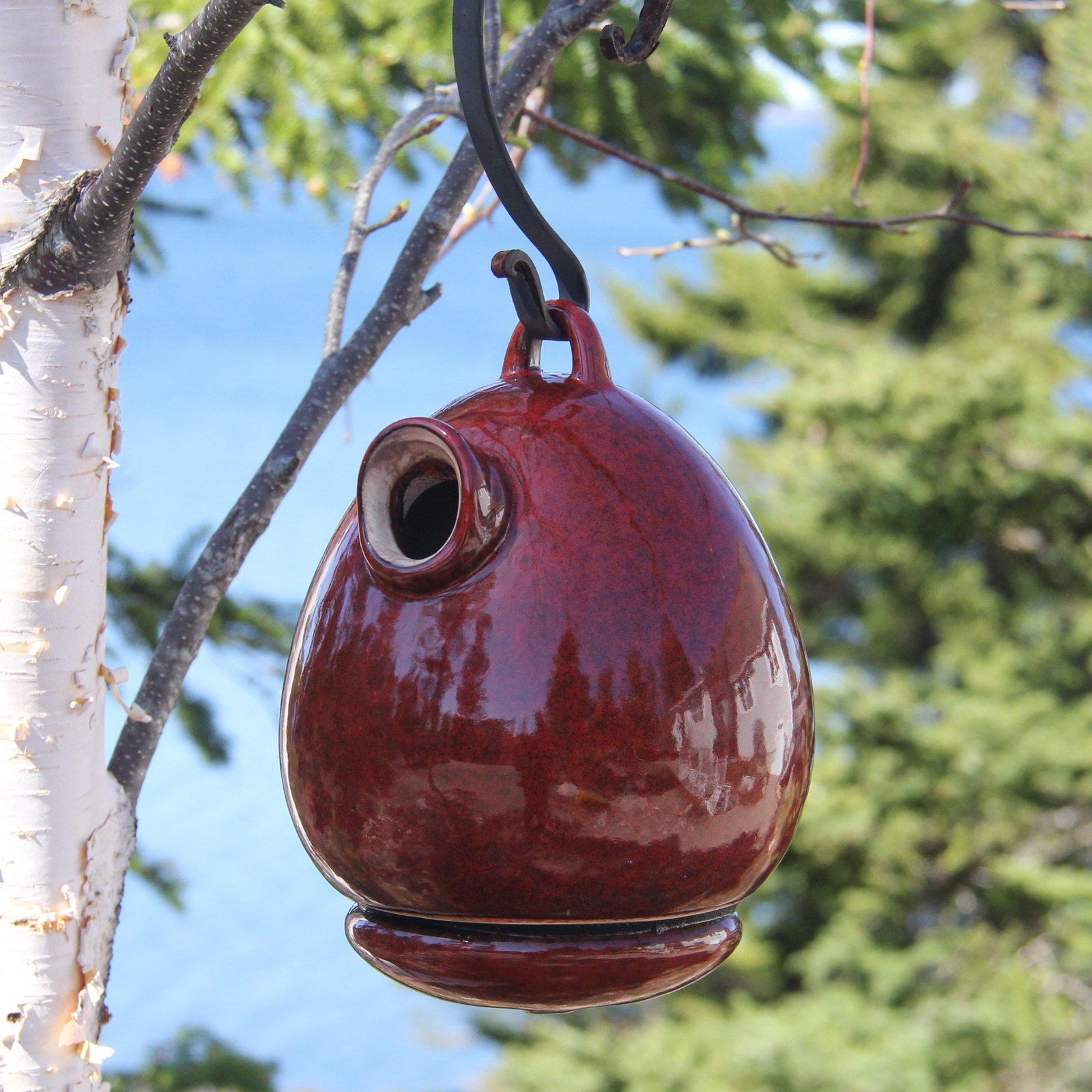 Radial Bird Bath - Hanging Style - Byer of Maine