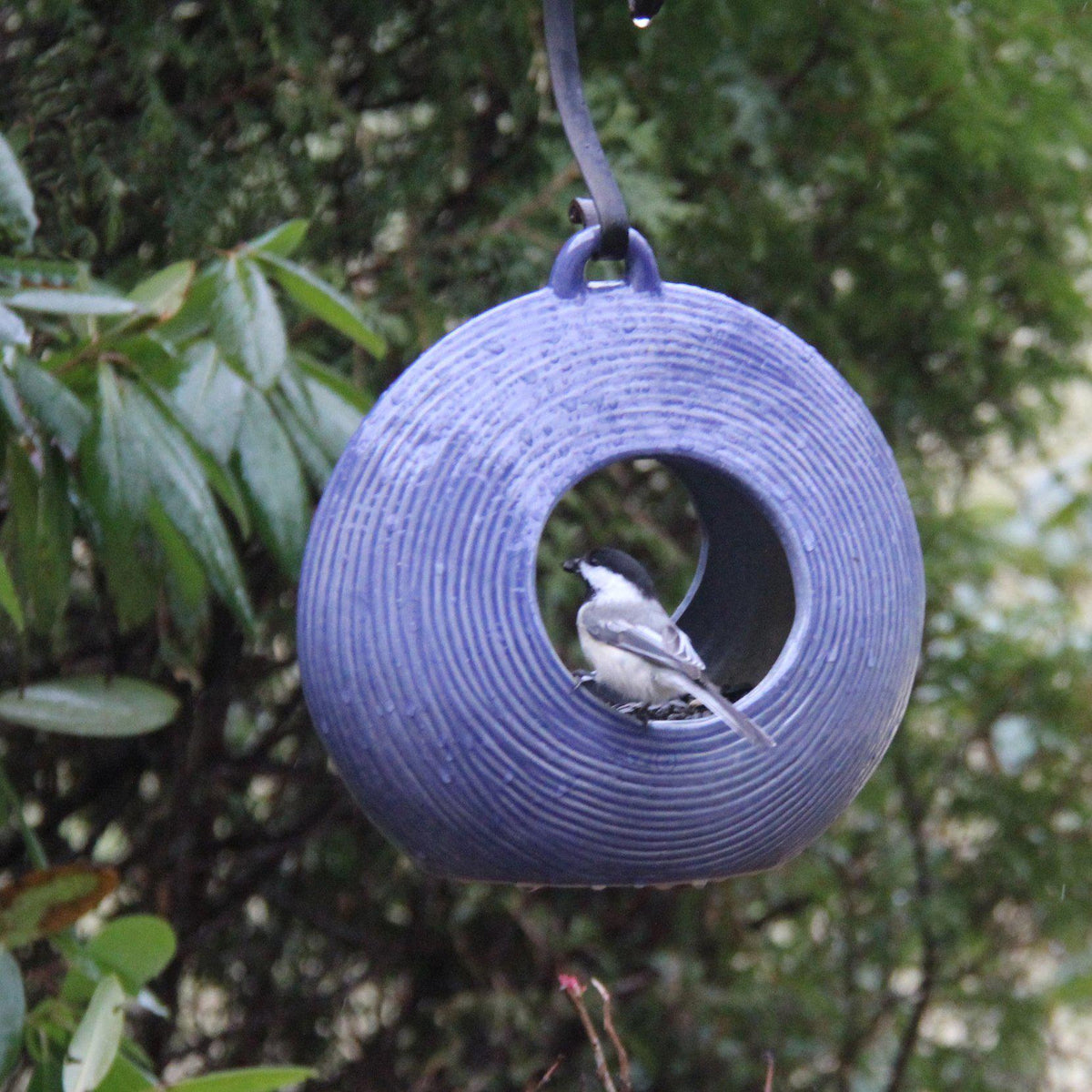 Circles Fly-Through Feeder, from Byer of Maine