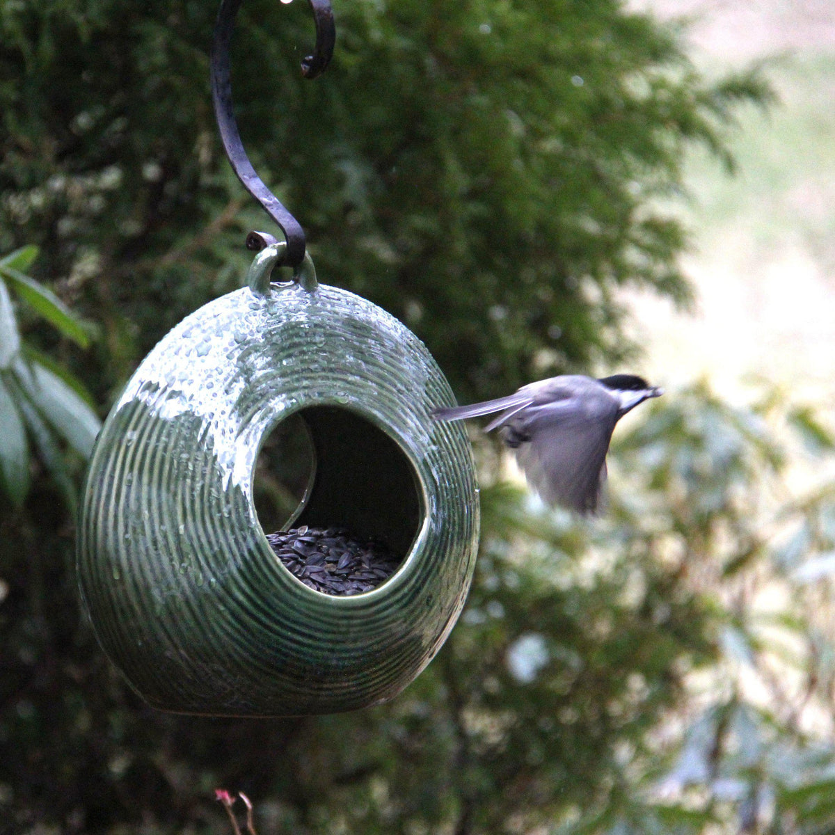 Circles Fly-Through Feeder, from Byer of Maine