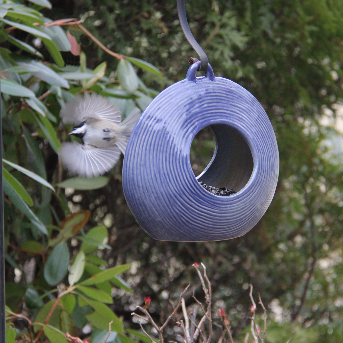 Circles Fly-Through Feeder, from Byer of Maine