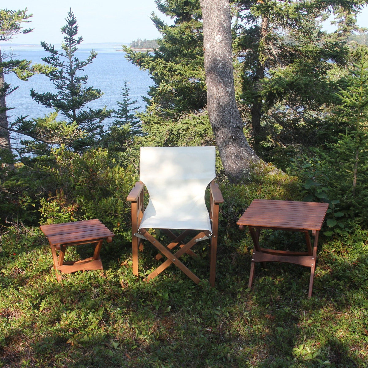 Pangean Campaign Chair, from Byer of Maine