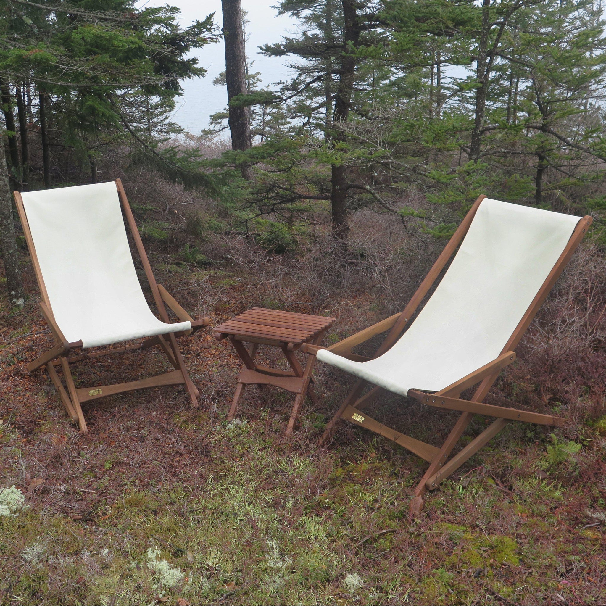 Beach discount chair canvas