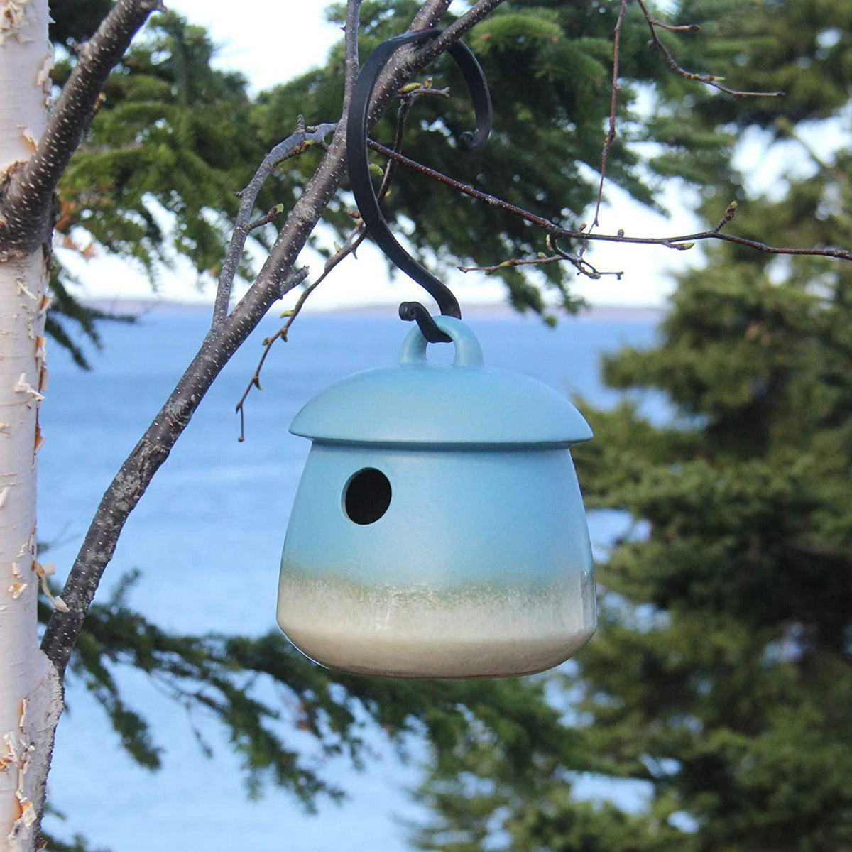 Return Bird Home, from Byer of Maine